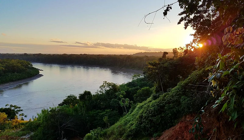 View of the Amazon rainforest and river